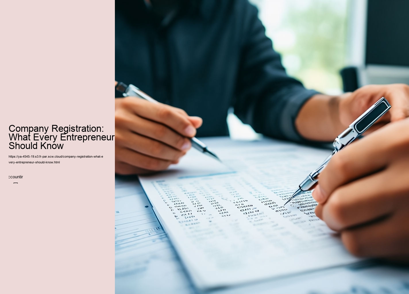 Company Registration: What Every Entrepreneur Should Know